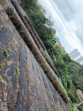 정병무님의 자유주제 · 자유게시판 작성글 사진