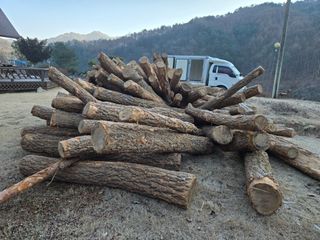 강원사랑인님의 자유주제 · 자유게시판 작성글 사진