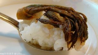 알 수 없음님의 자유주제 · 자유게시판 작성글 사진