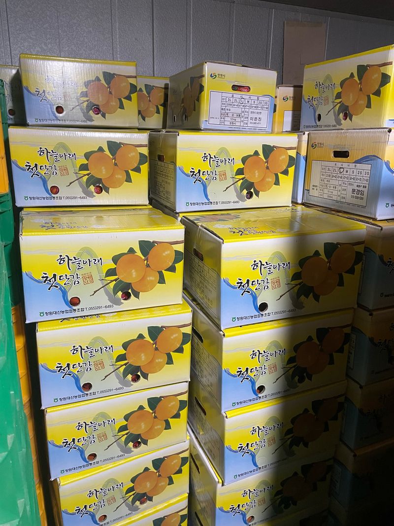 더달다농원님의 장터 판매 상품 [창원 부유단감 10kg M사이즈 무료배송] 첨부 사진