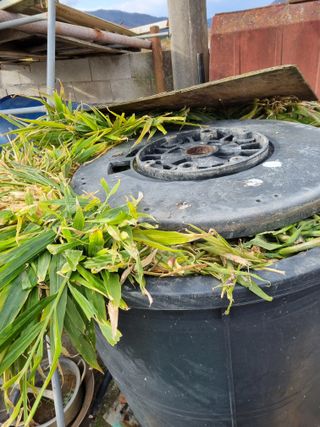 차재경님의 자유주제 · 사진전 작성글 사진