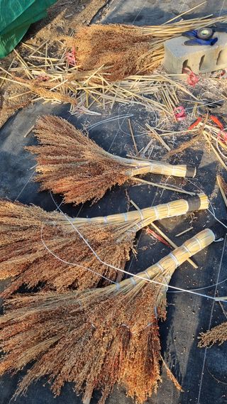 오학봉(멀티팜)님의 자유주제 · 자유게시판 작성글 사진