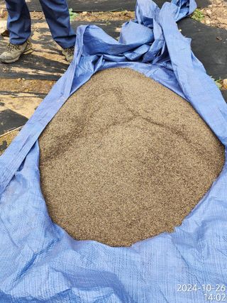 정병무님의 자유주제 · 자유게시판 작성글 사진