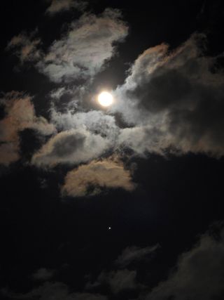 김유숙님의 자유주제 · 자유게시판 작성글 사진