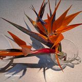 팜모닝 · 게시글 이미지