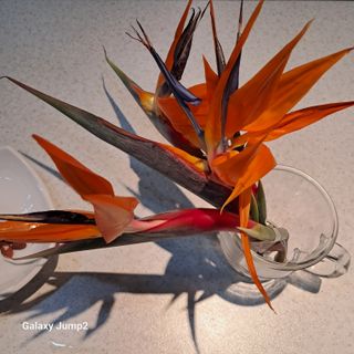 김복상님의 작성글 사진