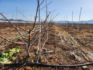 꿀복이농장님의 농작업 할 때 나의 선택은? · 참여글 작성글 사진