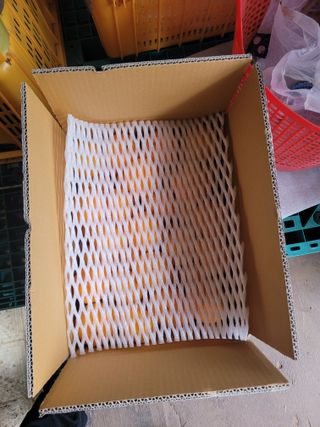 서귀포달코롬감귤농원님의 귤 · 일상 작성글 사진