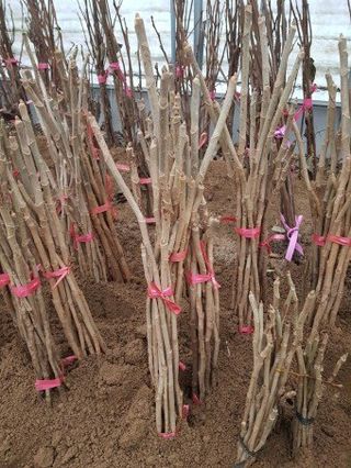 알 수 없음님의 자유주제 · 자유게시판 작성글 사진