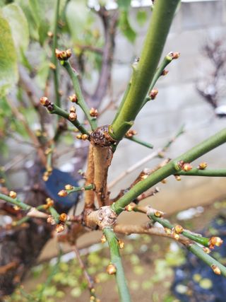 서정훈 님의 자유주제 · 자유게시판 작성글 사진