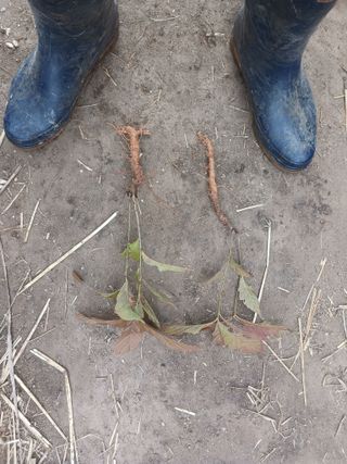 최제영님의 자유주제 · 자유게시판 작성글 사진