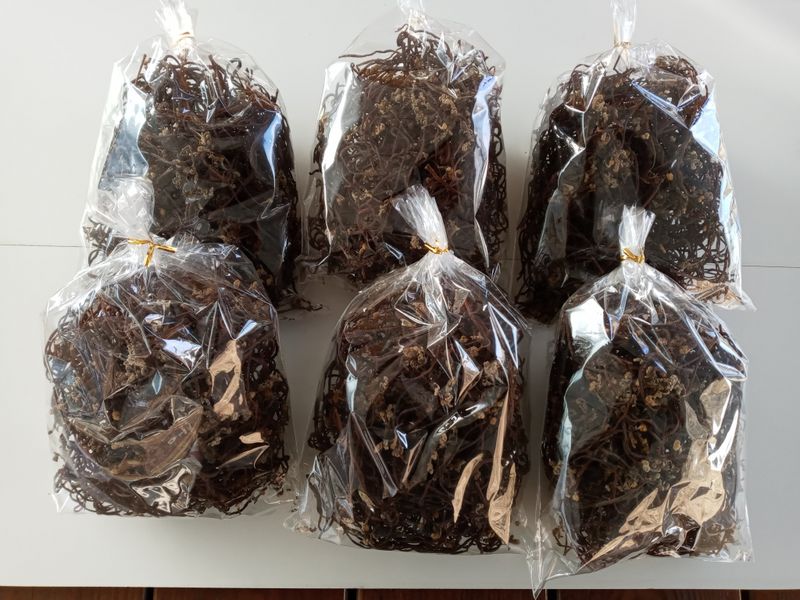 장터 상품 [청정 강원 치악산 건고사리 100g] 썸네일