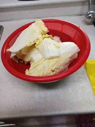 알 수 없음님의 자유주제 · 자유게시판 작성글 사진