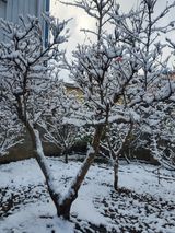 팜모닝 자유주제·자유게시판 게시글 이미지