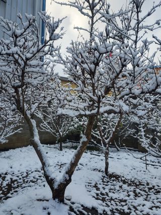 서정훈 님의 자유주제 · 자유게시판 작성글 사진