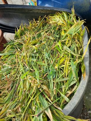 차재경님의 자유주제 · 사진전 작성글 사진