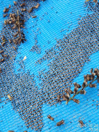 정병무님의 자유주제 · 자유게시판 작성글 사진