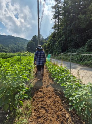 백경님의 농작업 할 때 나의 선택은? · 참여글 작성글 사진