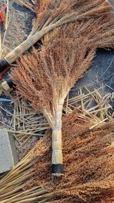 팜모닝 자유주제·자유게시판 게시글 이미지