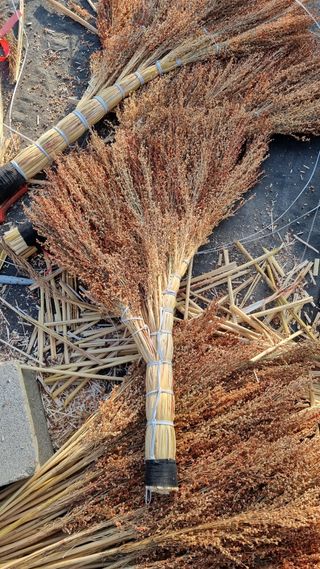 오학봉(멀티팜)님의 자유주제 · 자유게시판 작성글 사진