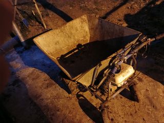 알 수 없음님의 자유주제 · 자유게시판 작성글 사진