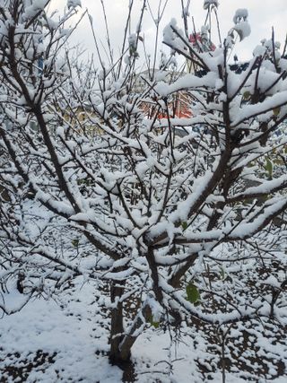 서정훈 님의 자유주제 · 자유게시판 작성글 사진