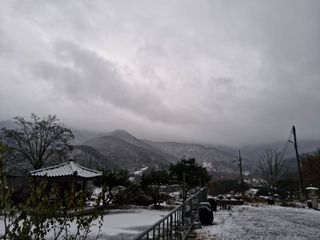 관우성님의 자유주제 · 자유게시판 작성글 사진