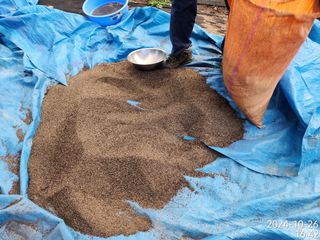 정병무님의 자유주제 · 자유게시판 작성글 사진