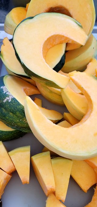 범이님의 농사, 무엇이든 물어보세요! · 참여글 작성글 사진