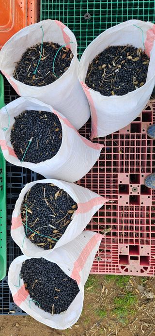 김홍겸님의 자유주제 · 자유게시판 작성글 사진