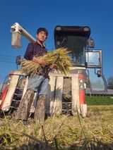 팜모닝 농작업 할 때 나의 선택은?·참여글 게시글 이미지