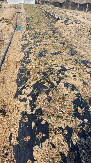 박순덕님의 자유주제 · 자유게시판 작성글 사진