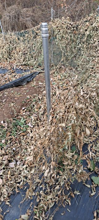 장준재님의 자유주제 · 자유게시판 작성글 사진