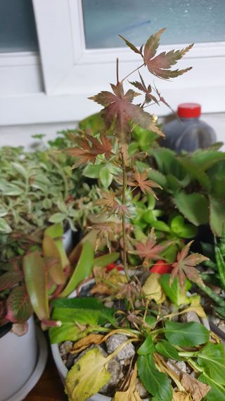 이경영 님의 작성글 사진