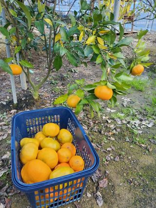 서정훈 님의 자유주제 · 자유게시판 작성글 사진