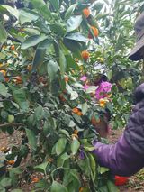 팜모닝 · 게시글 이미지