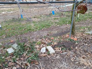 알 수 없음님의 자유주제 · 자유게시판 작성글 사진