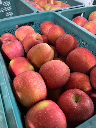 프룻하늬님의 작성글 사진