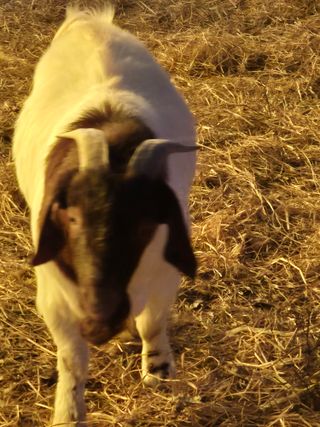 정희조님의 자유주제 · 자유게시판 작성글 사진