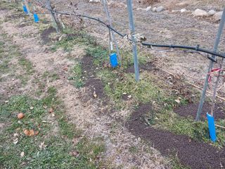 알 수 없음님의 자유주제 · 자유게시판 작성글 사진