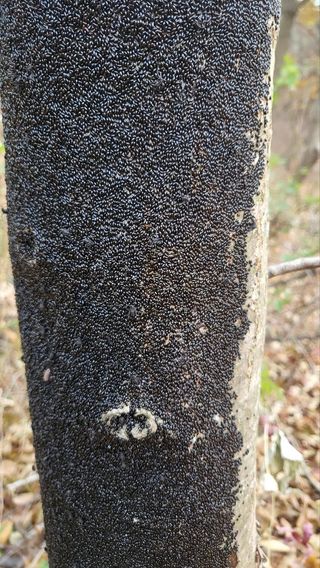 텃밭입문님의 농사, 무엇이든 물어보세요! · 참여글 작성글 사진