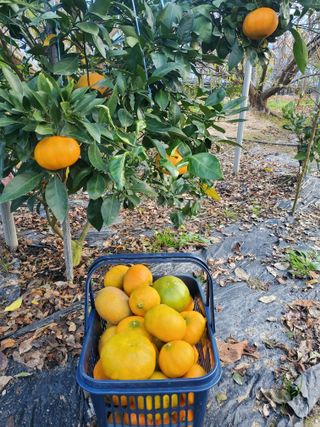 서정훈 님의 자유주제 · 자유게시판 작성글 사진