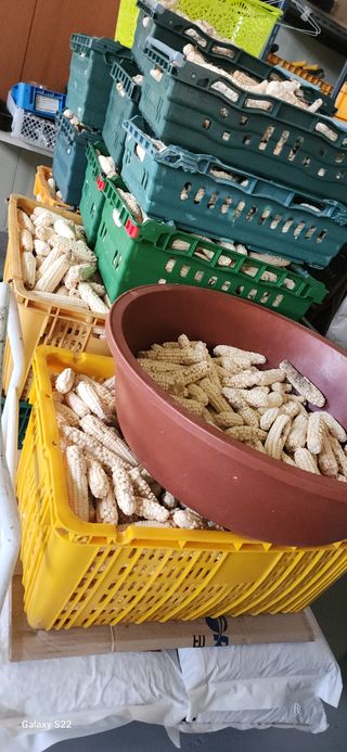 이명화님의 자유주제 · 자유게시판 작성글 사진