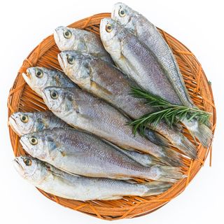 직송포유님의 자유주제 · 자유게시판 작성글 사진