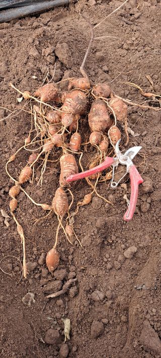 장준재님의 자유주제 · 자유게시판 작성글 사진