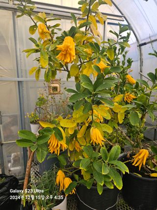 마로니에농원님의 자유주제 · 자유게시판 작성글 사진