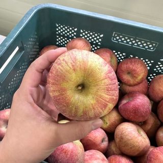 프룻하늬님의 작성글 사진