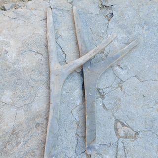 홍순원님의 자유주제 · 자유게시판 작성글 사진