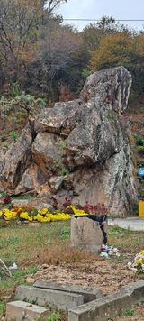 팜모닝 자유주제·자유게시판 게시글 이미지