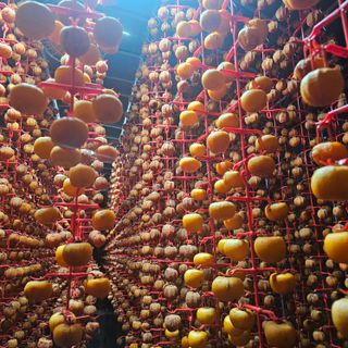 백용기님의 자유주제 · 자유게시판 작성글 사진